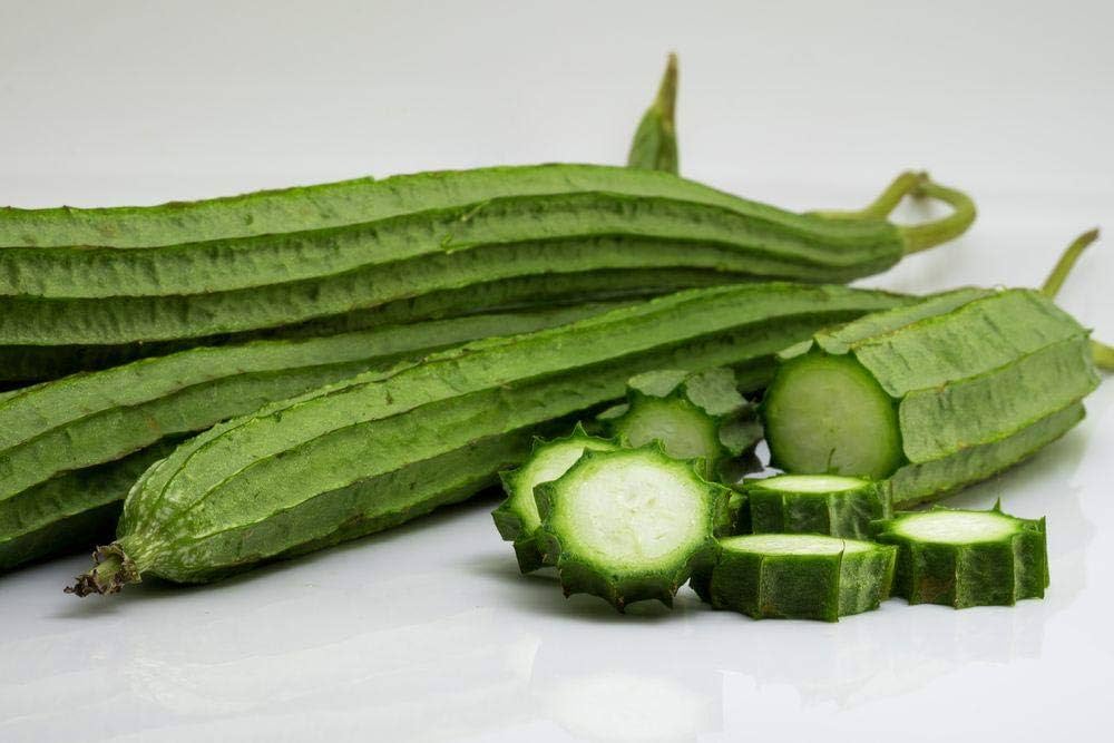 RIDGE GOURD