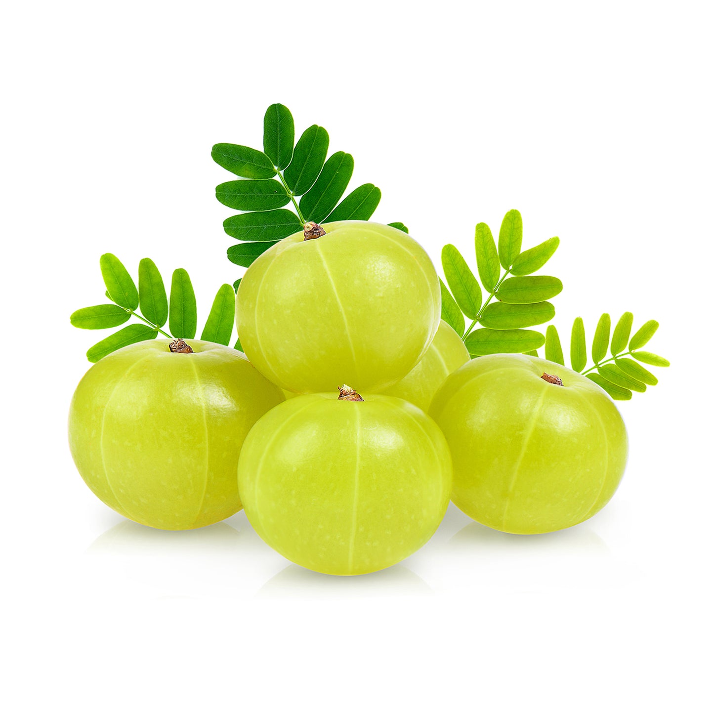 Organic Amla / Nellikai