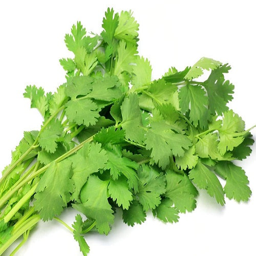 Nati Coriander Leaves
