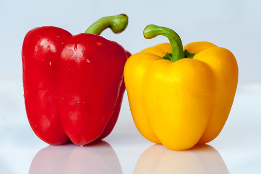 CAPSICUM COLOUR