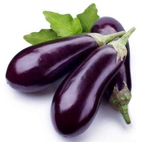BOTTLE BRINJAL