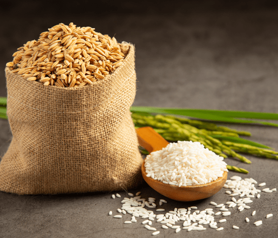 Navadarshanam Rajamudi Rice 1kg