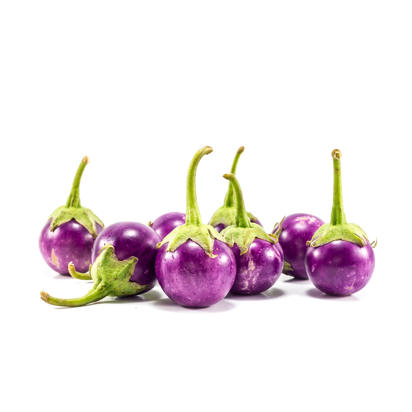 brinjal purple round