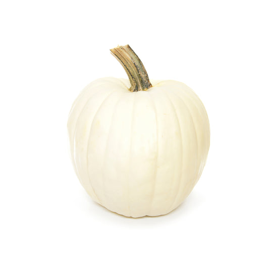 Pumpkin White