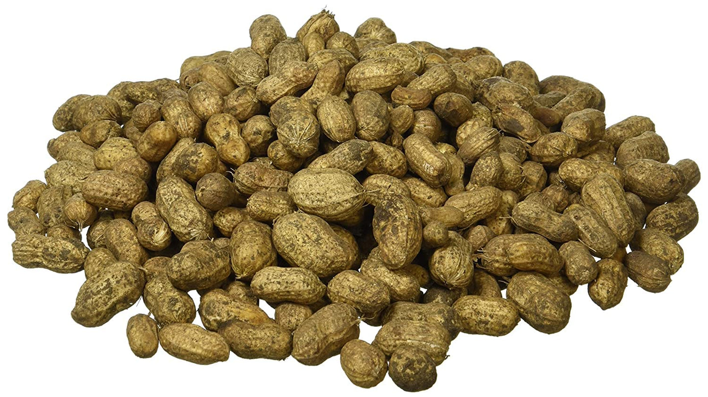 GROUNDNUT FRESH