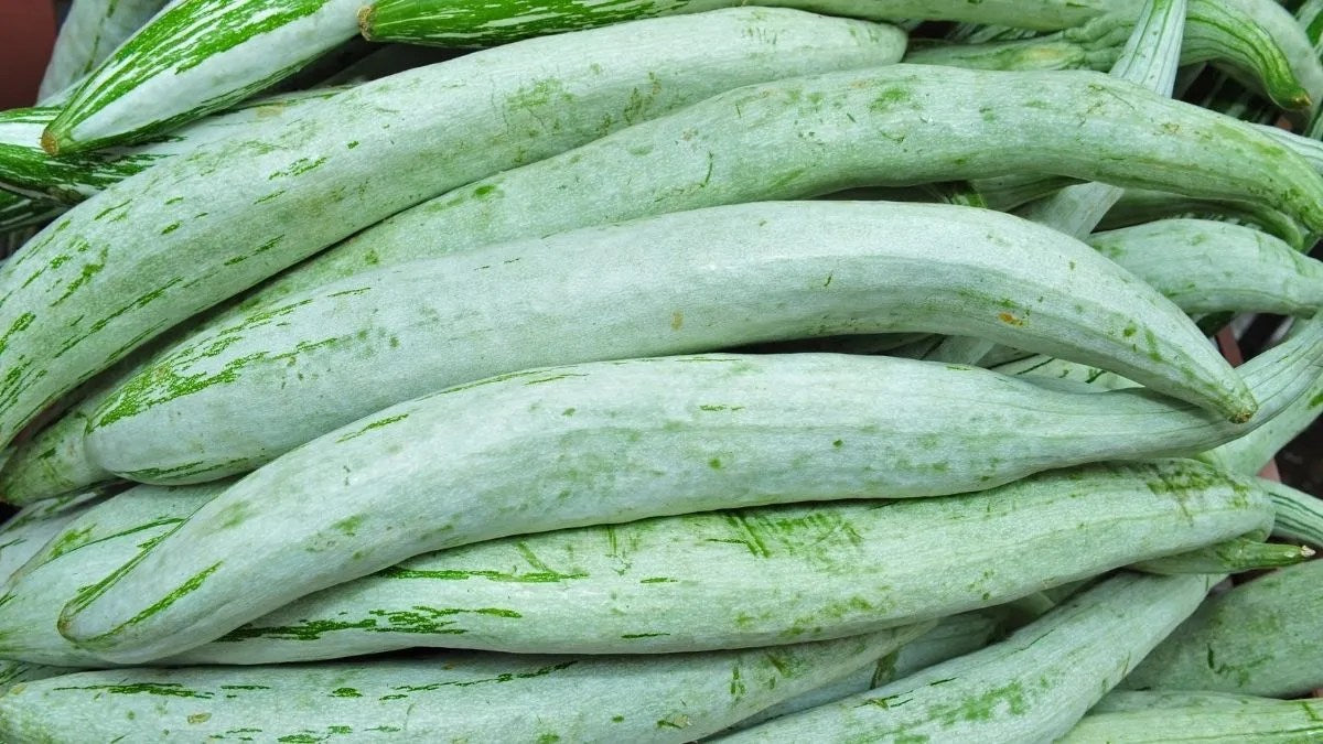 Organic snake gourd