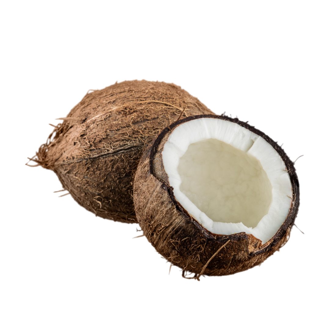 Coconut