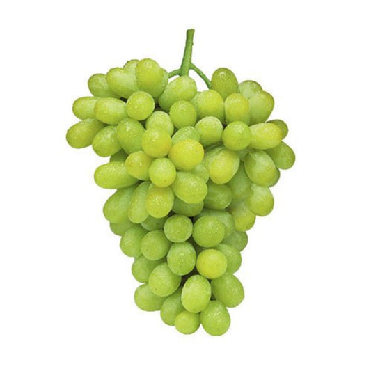 GRAPES THOMPSON