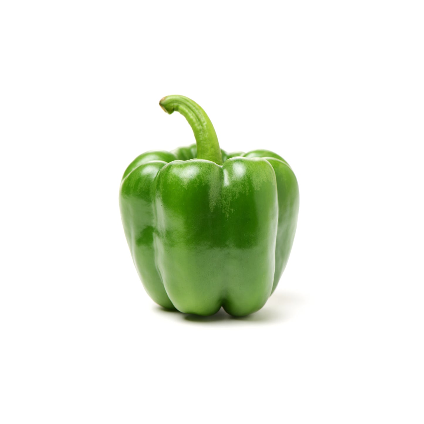 capsicum