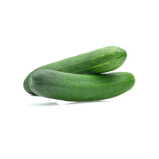 salad cucumber/kheera