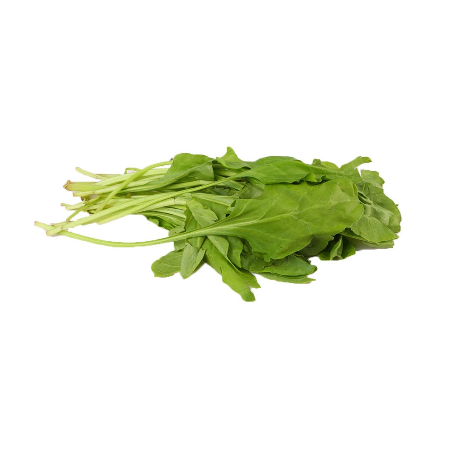 Spinach (Palak)